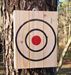 KNIFE THROWING TARGET, Double Sided - 13 1/4 x 10 1/4 x 3 Only $44.99 #470